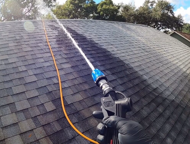 Roof Soft Washing